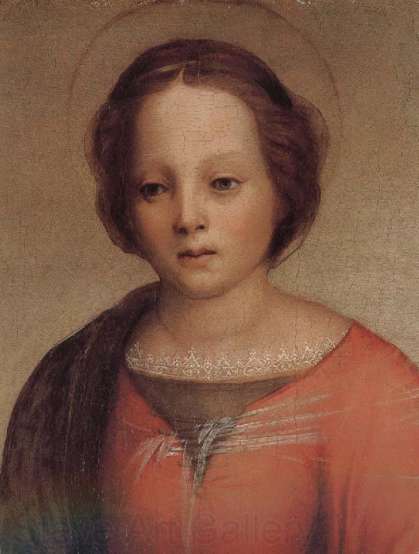 Andrea del Sarto Mary in detail France oil painting art